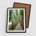 Plakat w ramie 50x70 - Spacer ścieżką przez brzozowy las - las, ścieżka - rama czarna