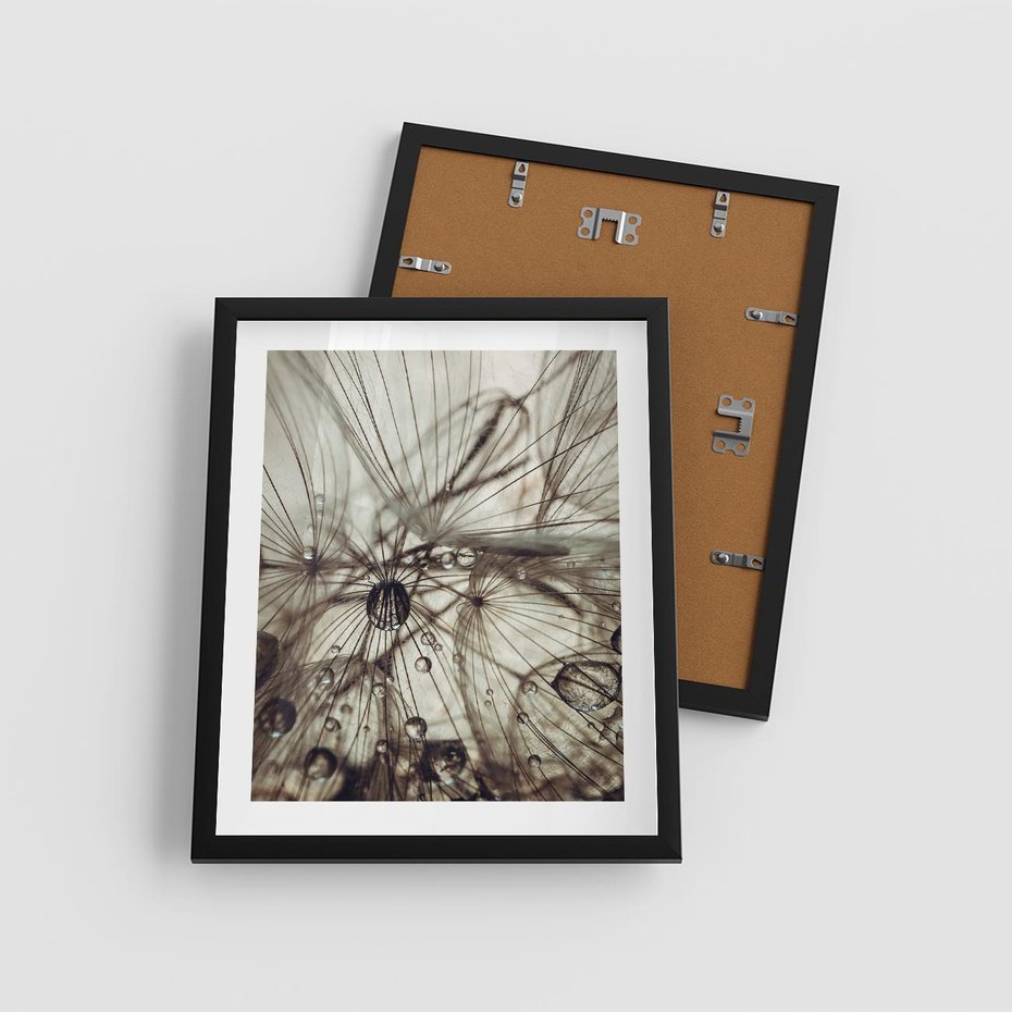 Plakat w ramie 40x50 - Lekkie dmuchawce - dmuchawce, krople - rama czarna