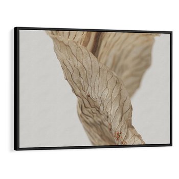 Obraz w ramie 70x50 - Suszone piękno - susz, suche - rama czarna