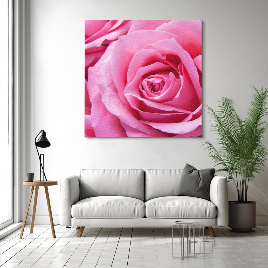 Obraz na płótnie 80x80 - Róża Wspaniałości - róża, kwiat