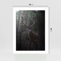 Plakat bez ramy 30x40 - Jeleń wśród lasu - jeleń, las
