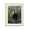 Plakat w ramie 40x50 - Spotkanie z Niedźwiedziem w Lesie - niedźwiedź, las - rama drewno