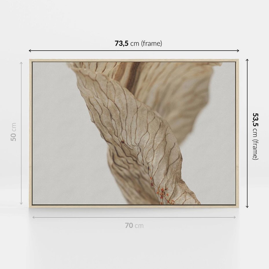Obraz w ramie 70x50 - Suszone piękno - susz, suche - rama drewno