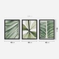 Zestaw obrazy w ramie 40x50 galeria - Liście, minimalizm, zieleń - rama czarna