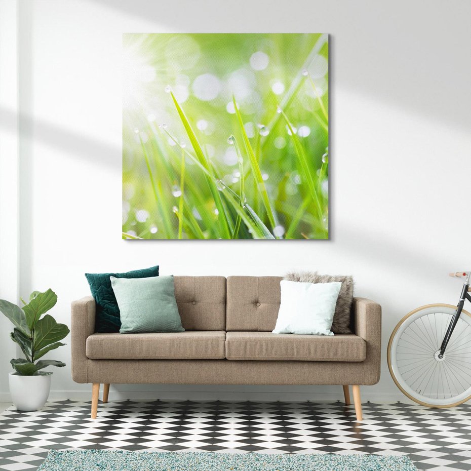 Obraz na płótnie 40x40 - Delikatna trawa pokryta rosą - trawa, rosa