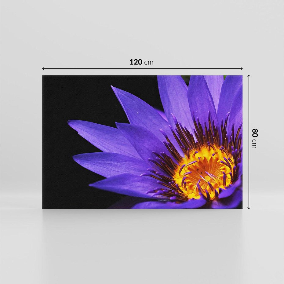 Obraz na płótnie 120x80 - Kwiatowa harmonia: Piękno natury - kwiat, kwiaty