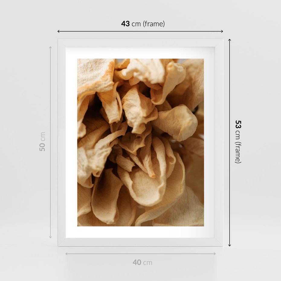 Plakat w ramie 40x50 - Zjawiskowe zasuszone kwiaty - zasuszone, kwiaty - rama biała