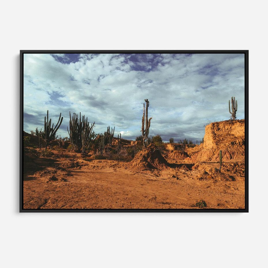 Obraz w ramie 70x50 - Skarby Pustynnego Kanionu - pustynia, kaktusy - rama czarna