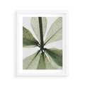 Plakat w ramie 40x50 - Jasna Zieleń w Makro - makro zdjęcie liści, jasna zieleń - rama biała