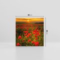 Obraz na płótnie 80x80 - Maki przy zachodzie słońca - maki, zachód