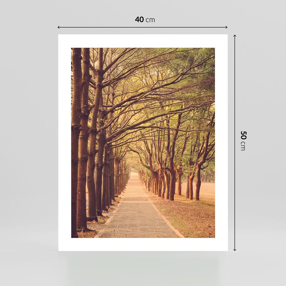 Plakat bez ramy 40x50 - Wędrówka między drzewami - droga, drzewa