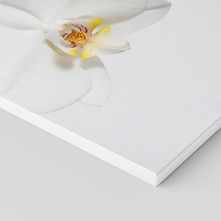 Obraz na płótnie 70x100 - Orchidea Kwiat - orchidea, kwiat