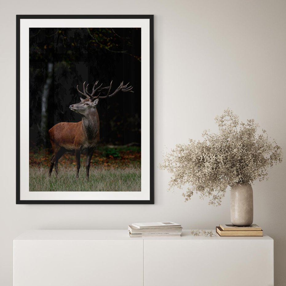 Plakat bez ramy 40x50 - Spotkanie z naturą - jeleń, las