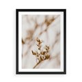 Plakat w ramie 50x70 - Kwiatowa suchość - kwiaty, susz - rama czarna