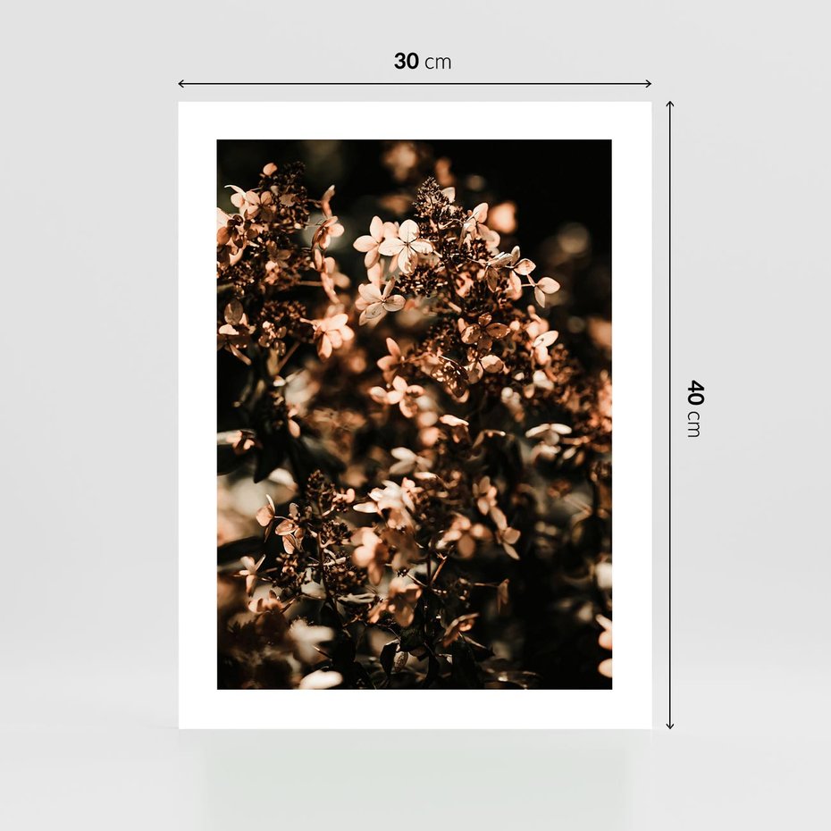 Plakat bez ramy 30x40 - Sucha Kompozycja Kwiatów - suche kwiaty hortensji