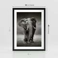 Plakat w ramie 30x40 - Majestatyczny słoń Afryki - słoń, Afryka - rama czarna