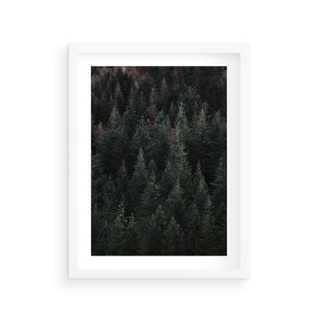 Plakat w ramie 30x40 - Wysoko nad Iglastym Lasem - las, perspektywa - rama biała