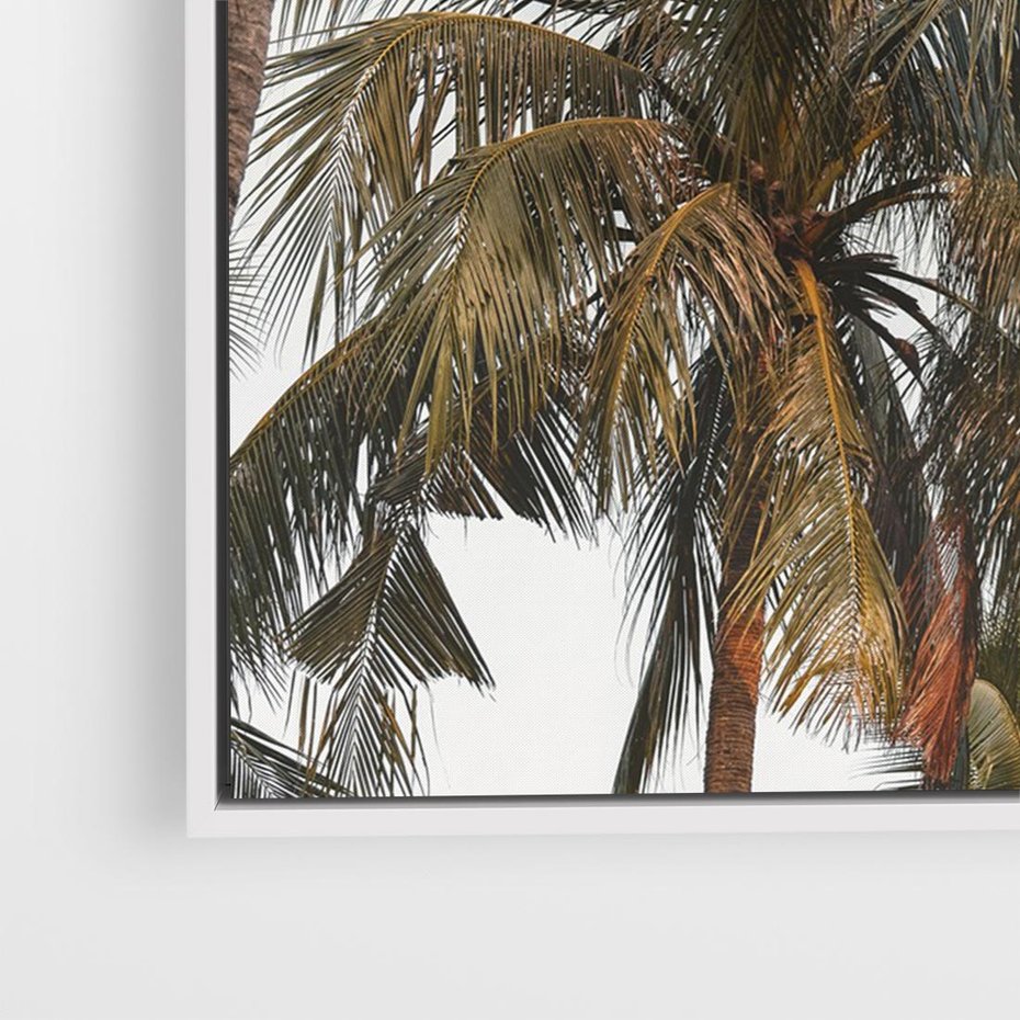 Obraz w ramie 70x50 - Palmy - tęsknota za Hawajami - palmy, Hawaje - rama biała
