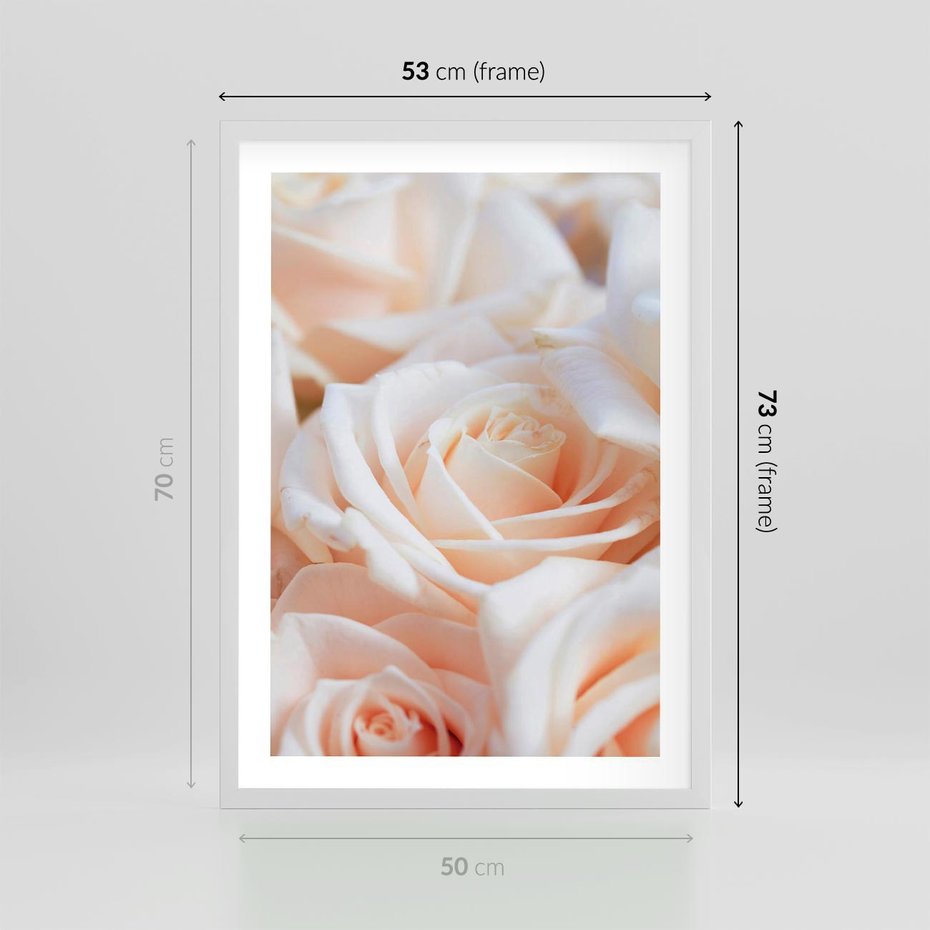 Plakat w ramie 50x70 - Aromatyczna Piękność - płatki herbacianej róży, kwiaty - rama biała