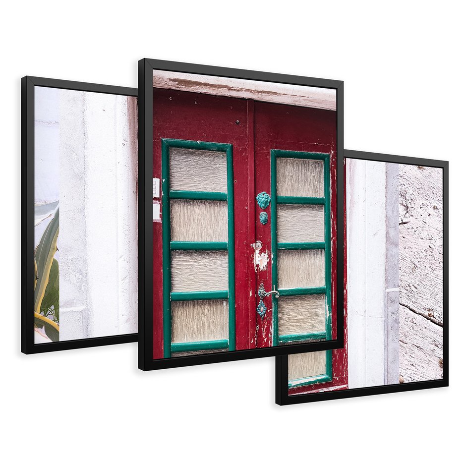 Zestaw obrazy w ramie 50x70 galeria - Stare, drzwi, liście, sanseweria - rama czarna