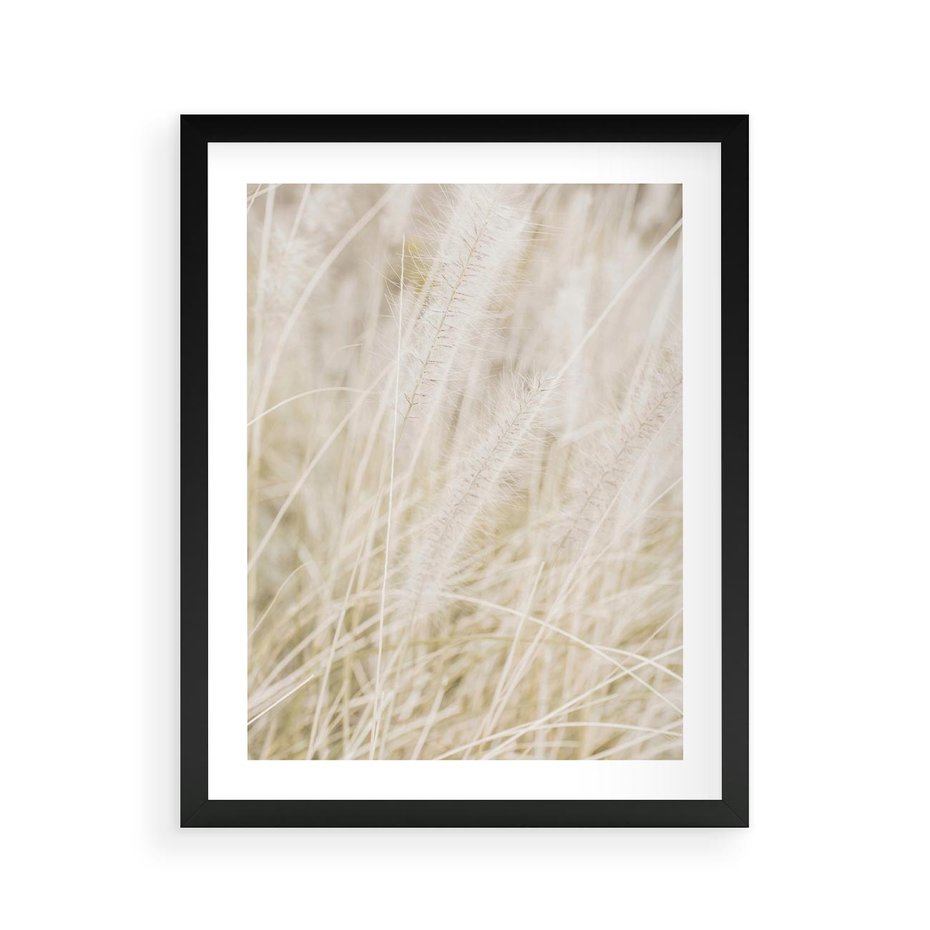 Plakat w ramie 40x50 - Białe Trawy Pampas - suche trawy, białe trawy - rama czarna