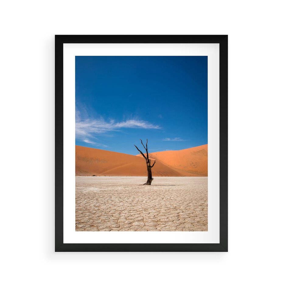 Plakat w ramie 40x50 - Słońce i Suche Drzewo - pustynia, suche - rama czarna