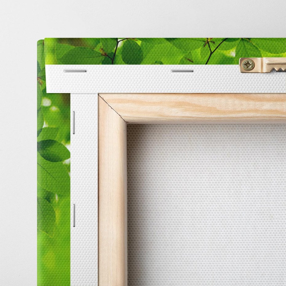 Obraz na płótnie 100x50 - Liście w Wodzie - liście, woda