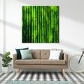 Obraz na płótnie 70x70 - Bambusowy urok zielonej harmonii - bambus, zieleń