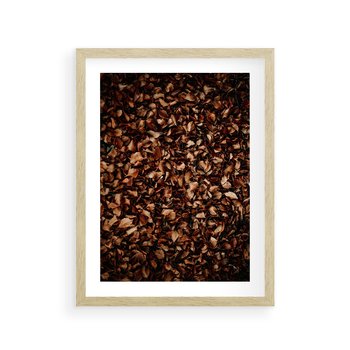 Plakat w ramie 50x70 - Jesienny Dywan - dywan z suchych liści, jesień - rama drewno