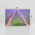 Obraz na płótnie 120x80 - Lawendowy kwiat - lawenda, kwiat