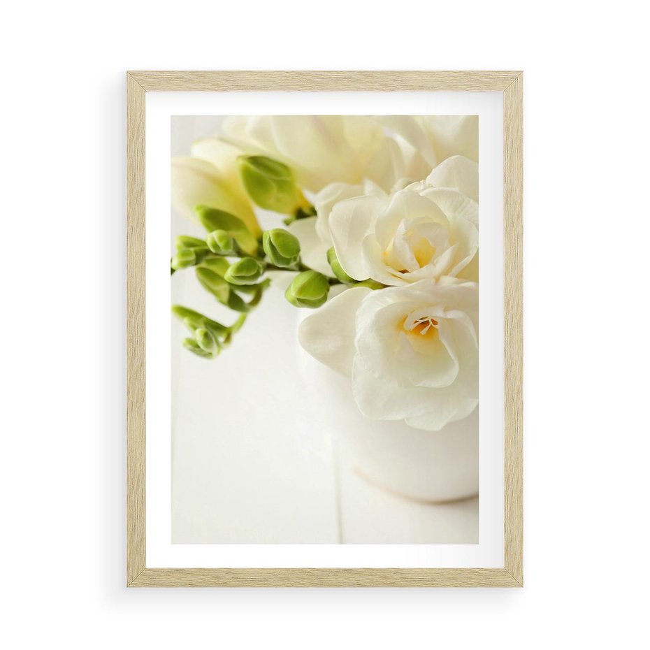 Plakat w ramie 50x70 - Subtelność białych frezji - frezja, białe - rama drewno