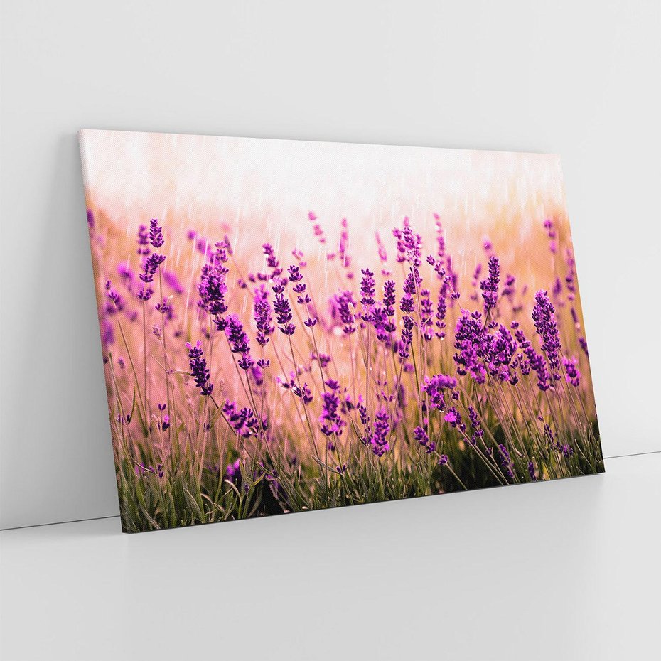 Obraz na płótnie 120x80 - Lawenda: Pachnące pole kwiatów - kwiaty, lawenda