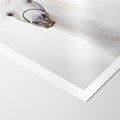 Plakat bez ramy 40x50 - Elegancja białego konia - biały, koń