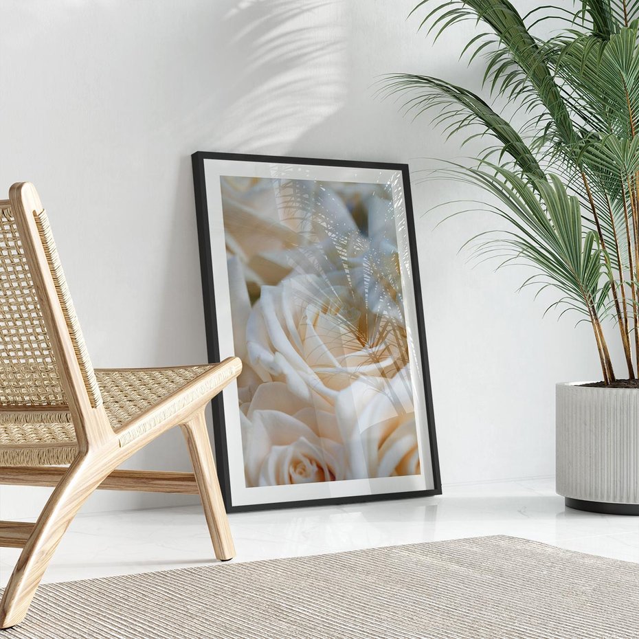 Plakat w ramie 50x70 - Białe róże piękności - białe, róże - rama czarna