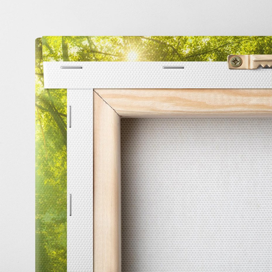 Obraz na płótnie 30x30 - drzewa w harmonii - las, drzewa