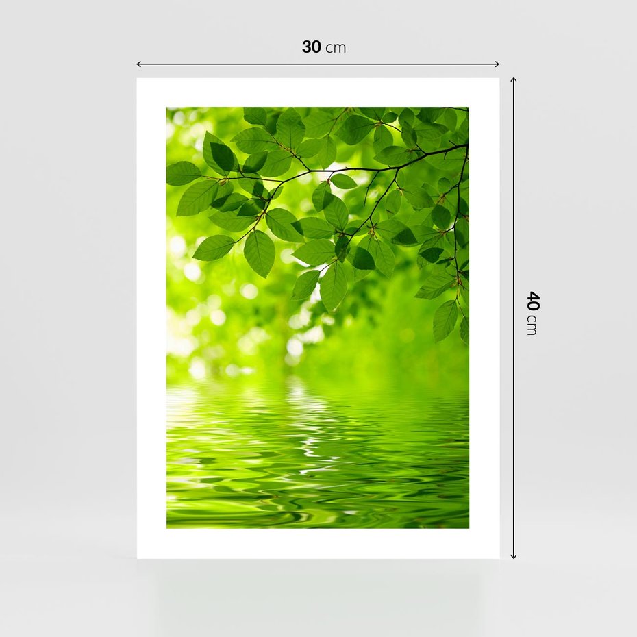 Plakat bez ramy 30x40 - Liście w Wodzie - liście, woda