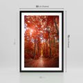 Plakat w ramie 50x70 - Magia jesiennego lasu - las, jesień - rama czarna