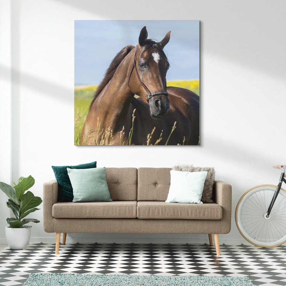 Obraz na płótnie 40x40 - Siła i piękno natury - koń, łąka