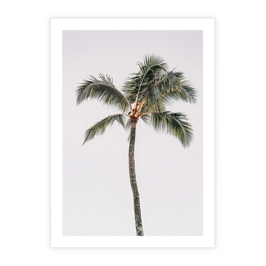 Plakat bez ramy 21x30 - Wakacyjne Marzenia - palma na tle nieba