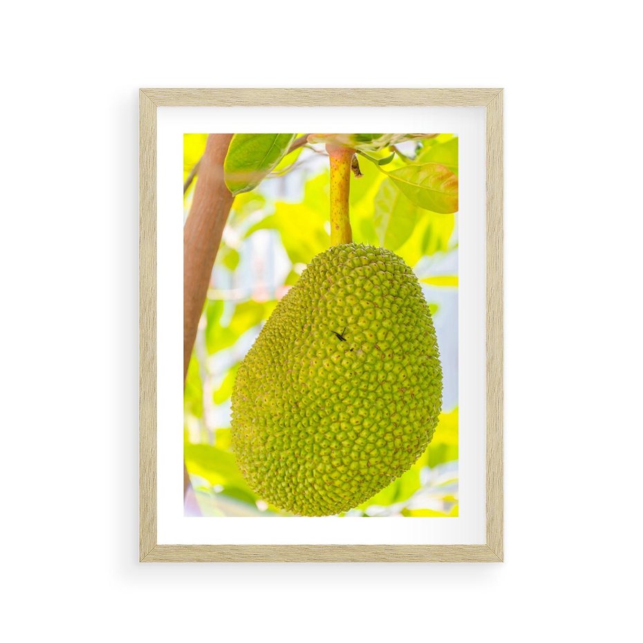 Plakat w ramie 30x40 - Tropikalny raj nad morzem - tropikalny, owoc - rama drewno