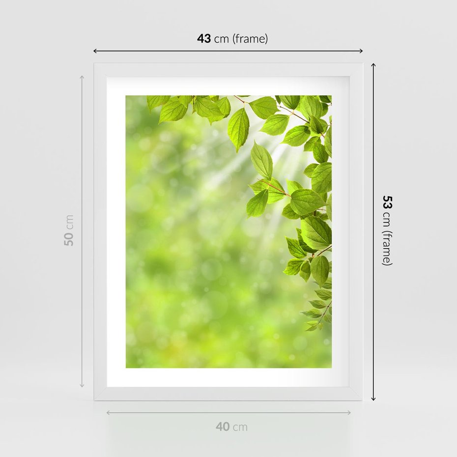 Plakat w ramie 40x50 - Zielone liście natury - liści, zieleń - rama biała