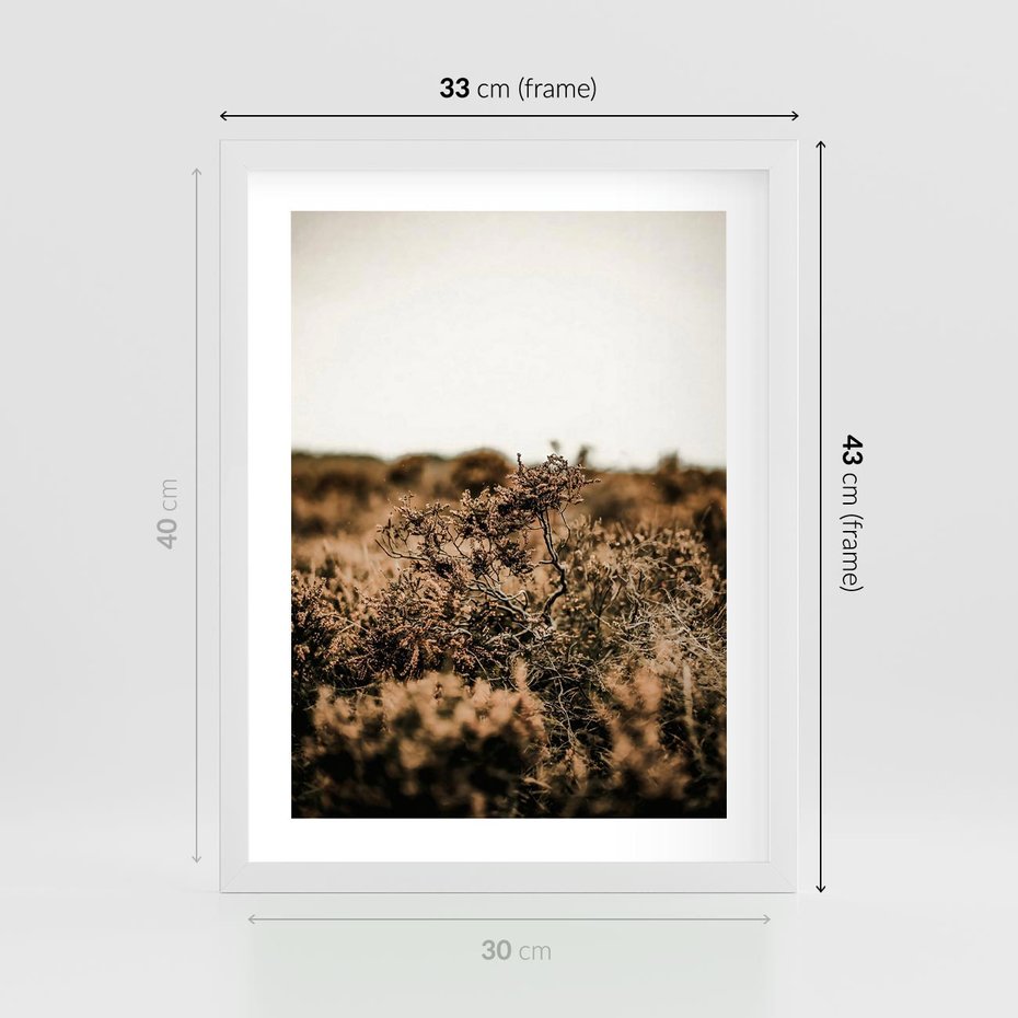 Plakat w ramie 30x40 - Krajobraz W Naturze: Beże i Brązy - suche krzewy, natura - rama biała