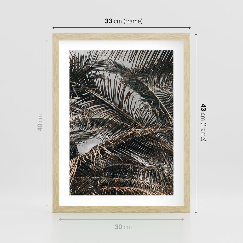 Plakat w ramie 30x40 - Liściaste Palmy - palmy, drzewa palmowe - rama drewno