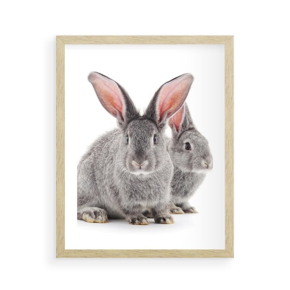 Plakat w ramie 40x50 - Uroczy królik wśród natury - królik, zając - rama drewno