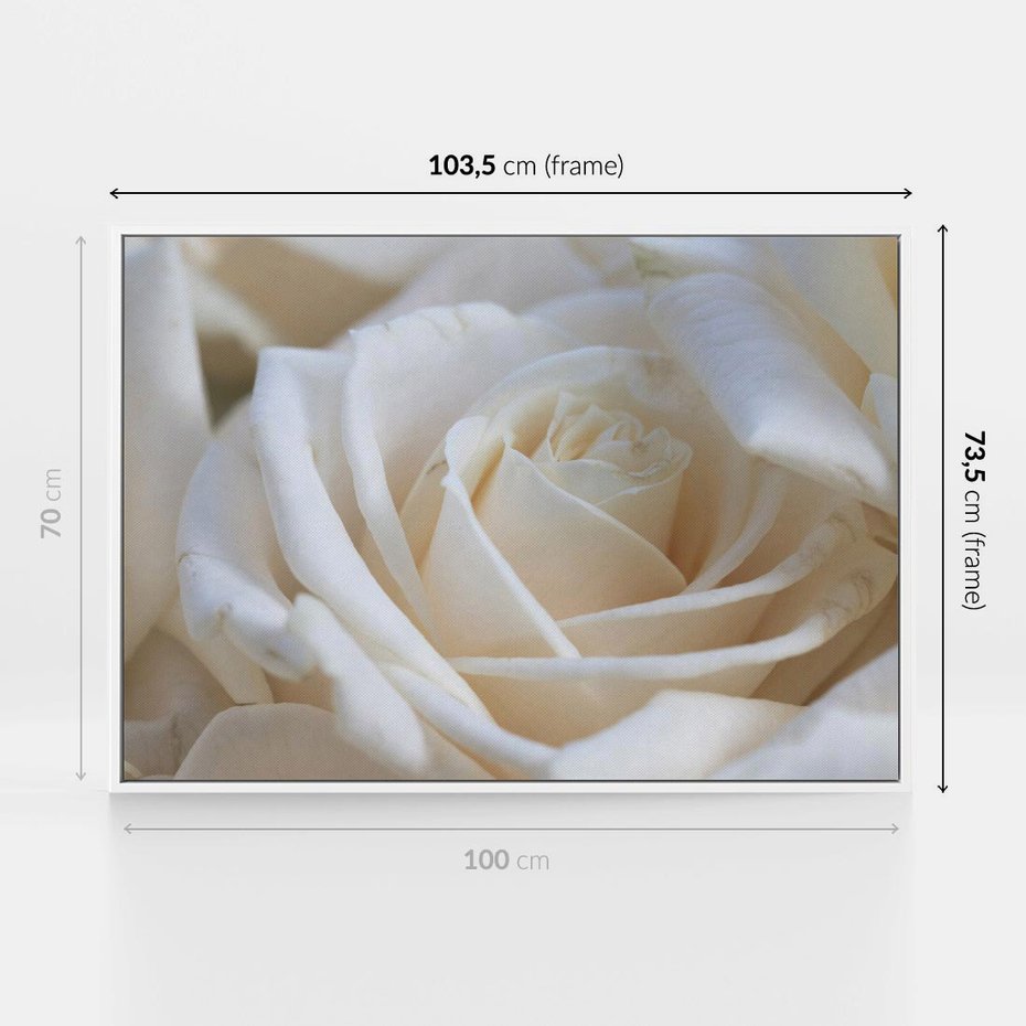 Obraz w ramie 100x70 - Białe róże piękności - białe, róże - rama biała