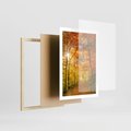 Plakat w ramie 50x70 - Złote barwy jesiennego lasu - las, jesień - rama drewno