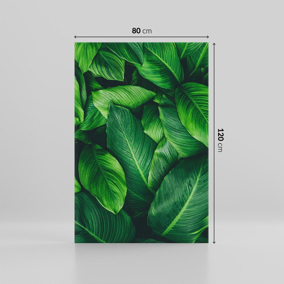 Obraz na płótnie 80x120 - Palma Liście Kwiat - palma, liście