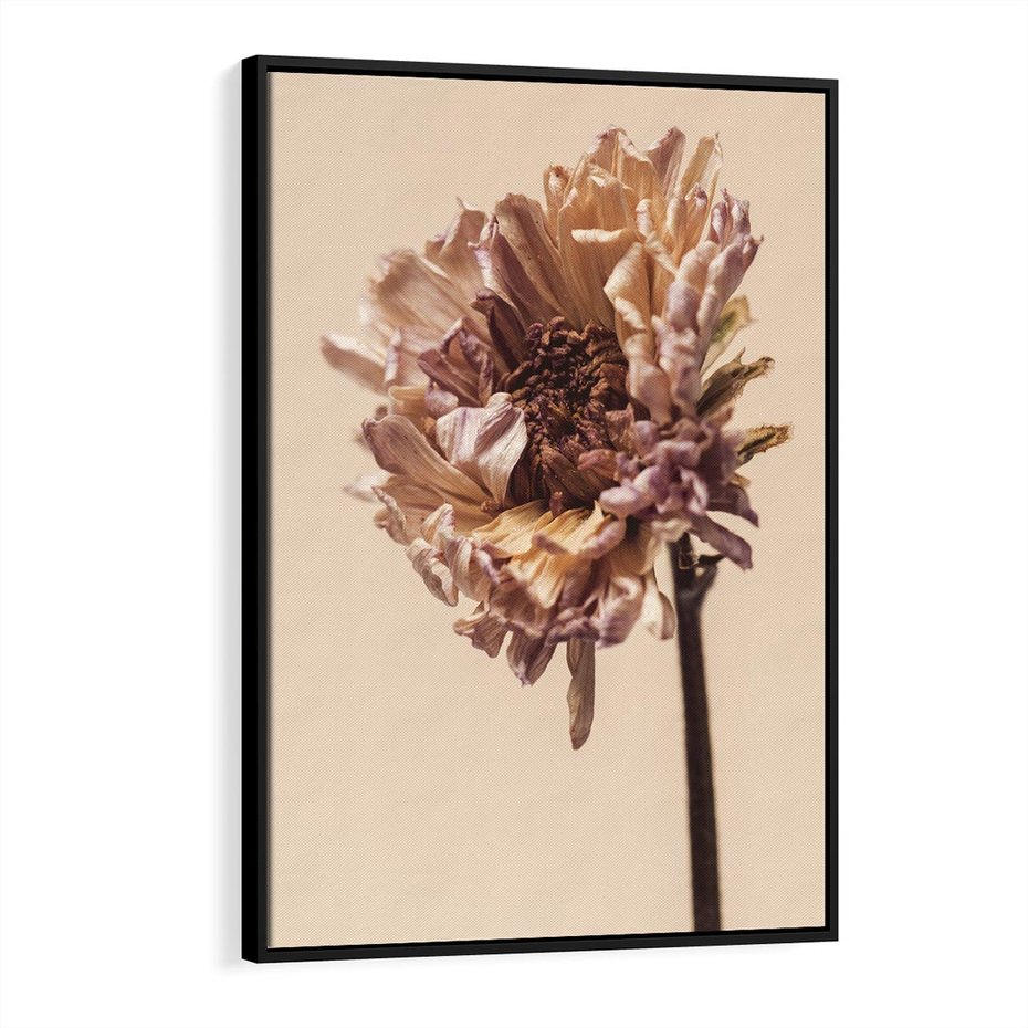 Obraz w ramie 50x70 - Delikatne piękno - suche, kwiaty - rama czarna