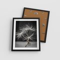 Plakat w ramie 40x50 - Delikatność dmuchawców zbliżenie - dmuchawce, zbliżenie - rama czarna
