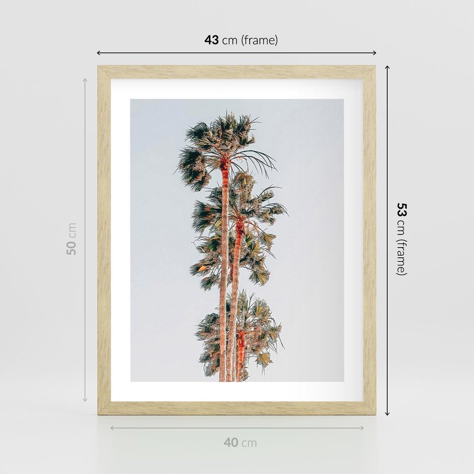Plakat w ramie 40x50 - Kształty Palm - palmy, zdjęcie - rama drewno